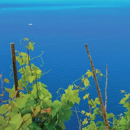 Awesome In With House Sea View Σπίτι διακοπών *